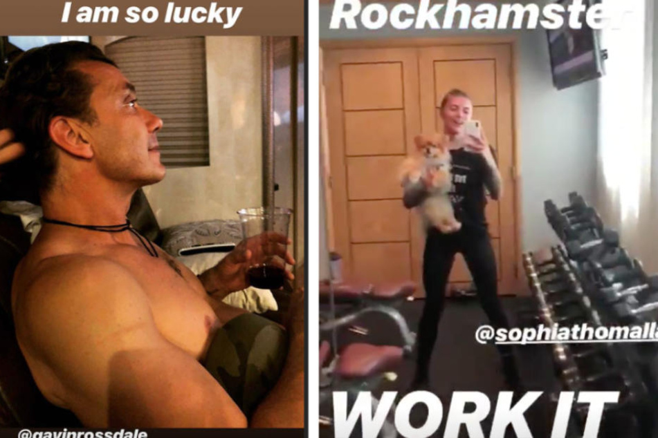 Man postet und verlinkt sich gegenseitig bei Instagram: Sophia Thomalla (28) und Gavin Rossdale (52).