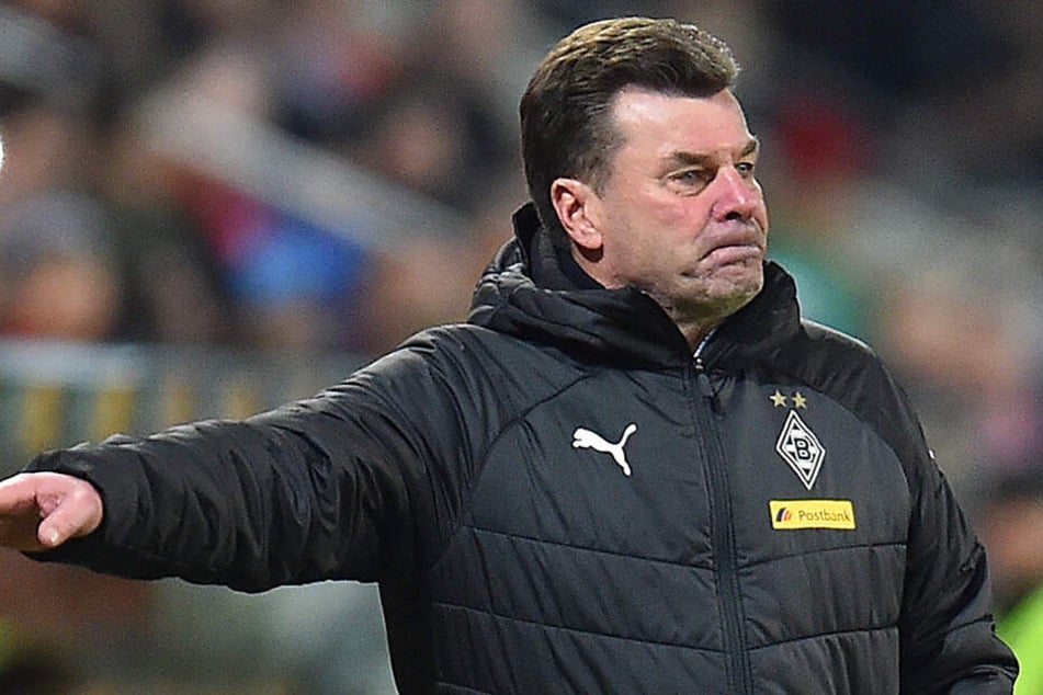 Dieter Hecking (54).