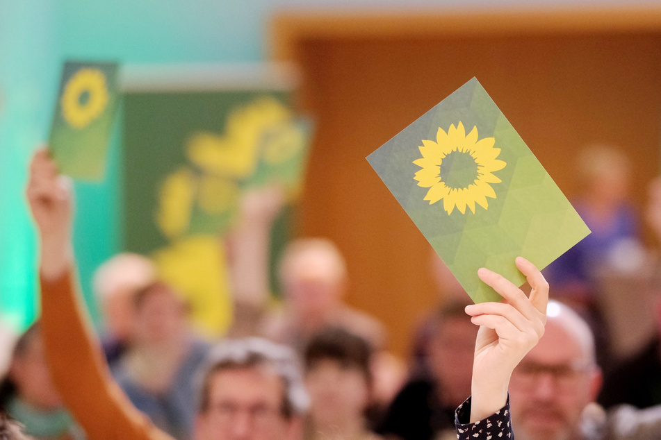Die Grünen in Sachsen-Anhalt fordern eine bundesweite AfD-Taskforce. (Symbolbild)