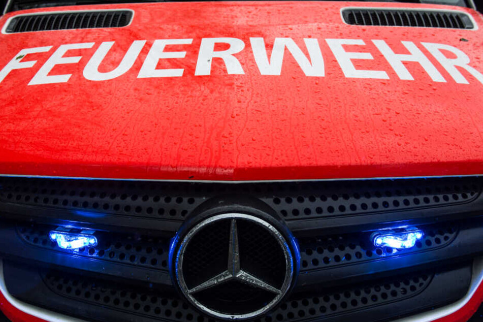 Die Feuerwehr spülte das Jungtier mit Löschwasser aus dem Rohr. (Symbolbild)