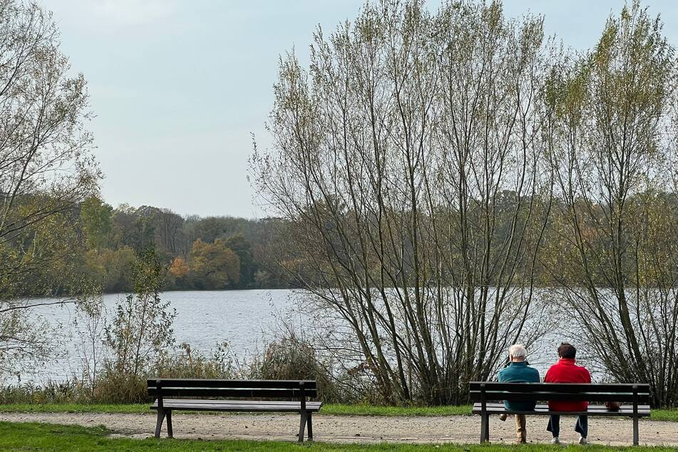 Um die Aufgabe zu bewältigen und den See möglichst von Altlasten zu bereinigen, müsse viel Geld in die Hand genommen werden. Geld, das zumindest aktuell nicht eingeplant ist.