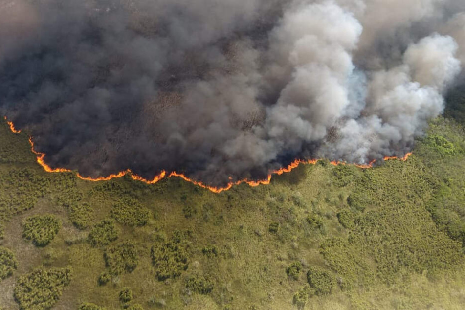 Auf diesem vom mexikanischen Umweltamt (SEMA) im Bundesstaat Quintana Roo zur Verfügung gestellten Bild steigen Rauchwolken im Naturschutzgebiet Sian Ka'an in den Himmel.