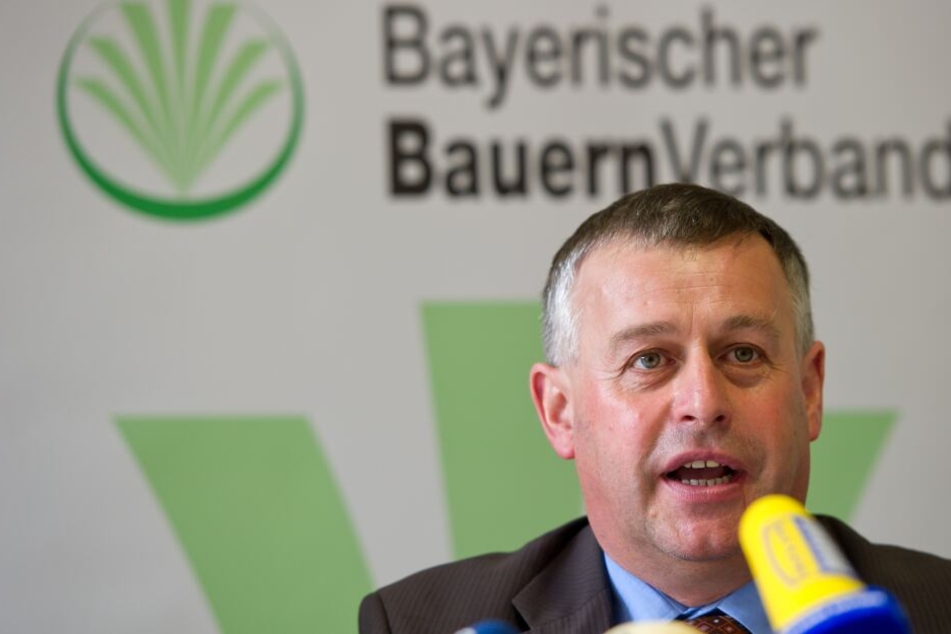 Nicht der Staat, sondern die Landwirte müssen unterstützt werden, findet Bauernpräsident Walter Heidl.
