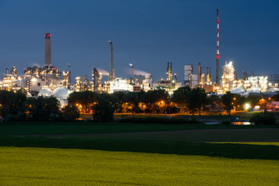 Der Chemiekonzern BASF liegt direkt am Rhein.