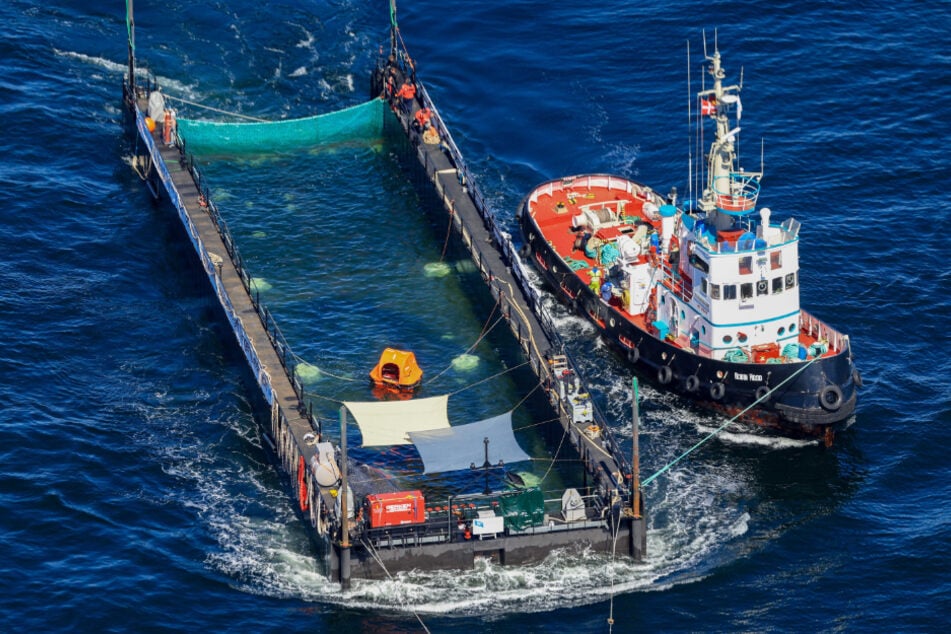 Der Schlepper "Robin Hood" (r.) war an dem Transport von Buckelwal "Timmy" in die Nordsee beteiligt.