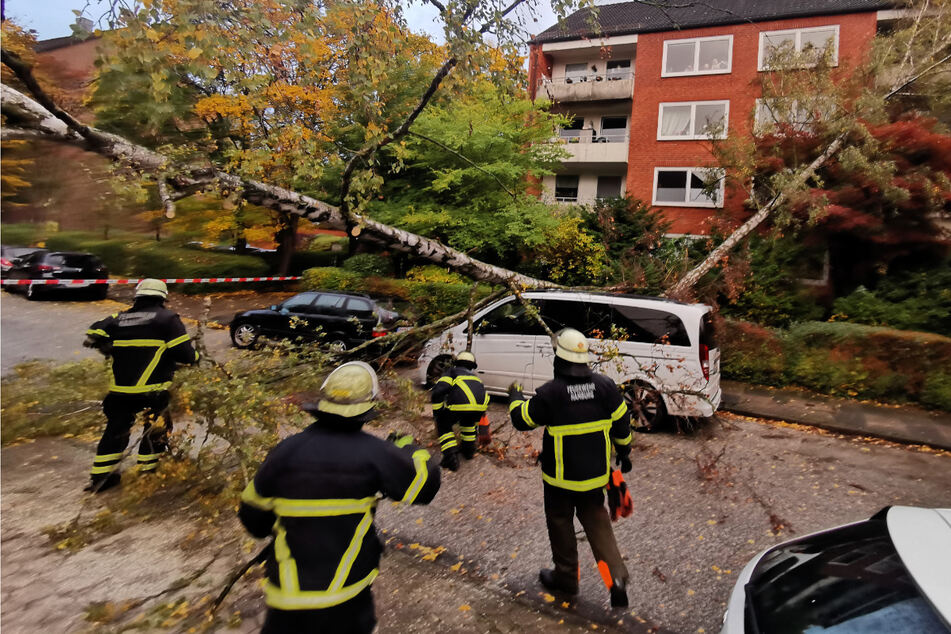 Hamburg: Sturmtief "Hendrik" hat in Hamburg zugeschlagen: Baum kracht auf Auto und Mehrfamilienhaus