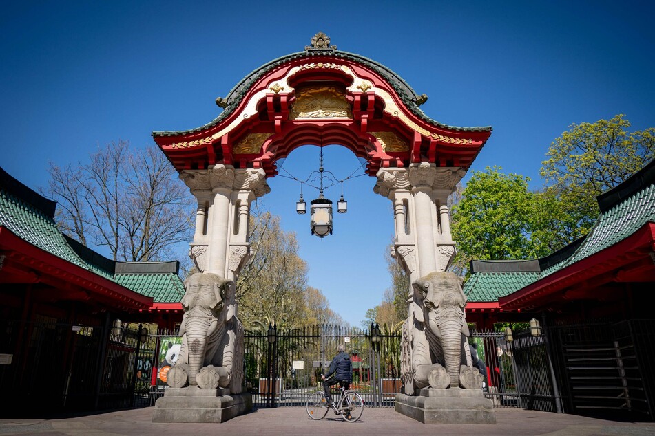 Der Berliner Zoo darf am Dienstag wieder öffnen.