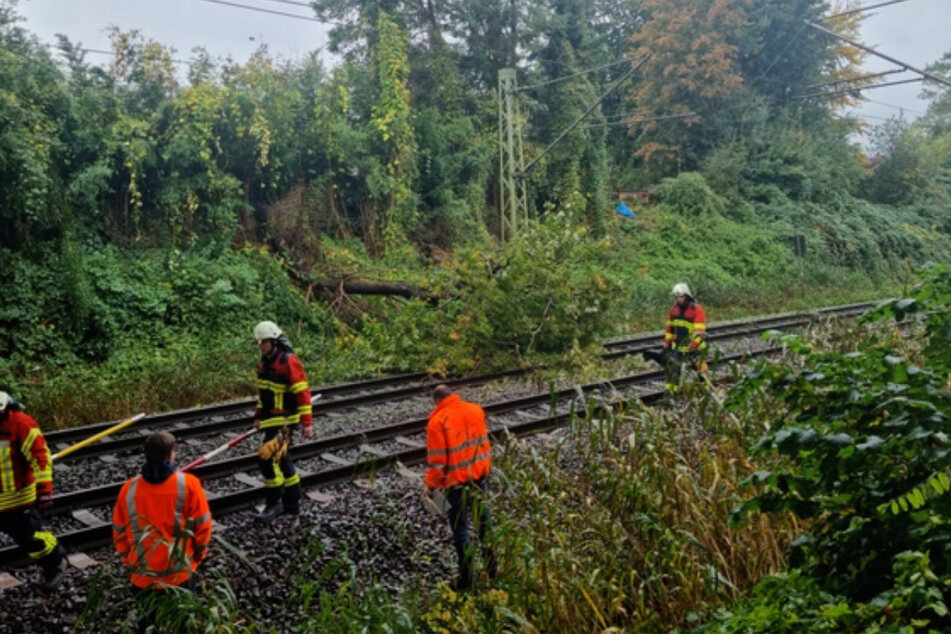 Baum in Oberleitung gekracht: Bahnstrecke zwischen Elmshorn und Tornesch wieder frei