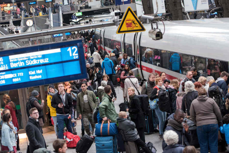 Im Getümmel des Berliner Hauptbahnhofs stand die Tasche mit der Schildkröte darin.