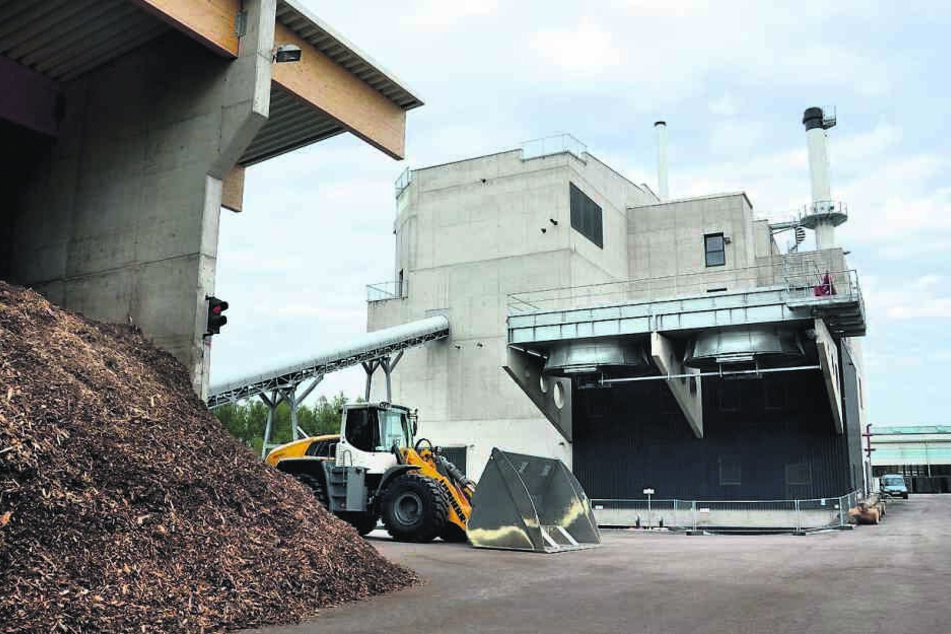 Biomassekraftwerk Ramingdorf in Österreich: Eins Energie will auch in Chemnitz Holz verbrennen.
