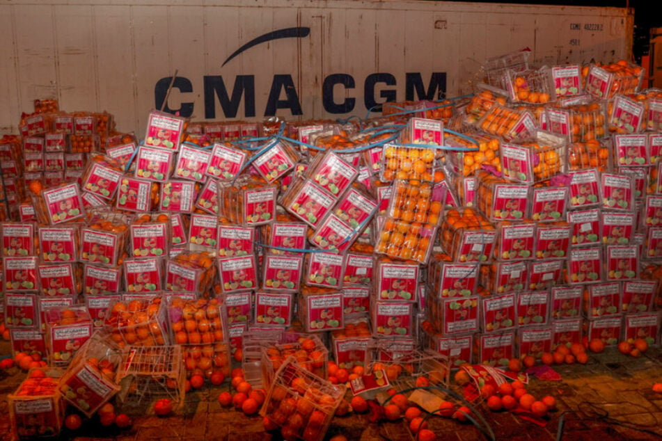 Eine Gesamtansicht einer Orangenlieferung, bei der im Hafen von Beirut beschlagnahmte Captagon-Pillen in gefälschten Früchten versteckt waren.