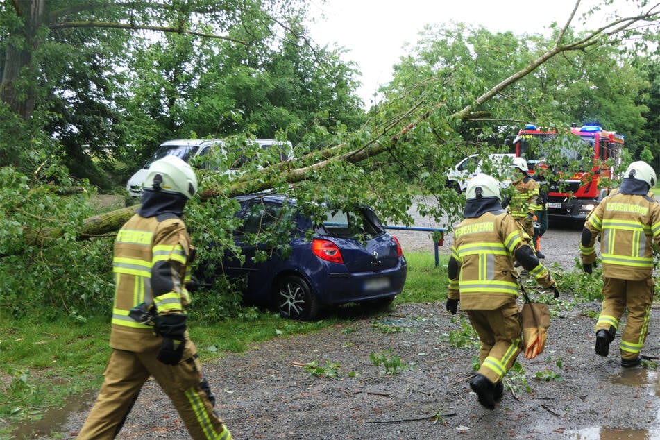 Die Kameraden der freiwilligen Feuerwehren rückten aus, um die umgestürzten Bäume wegzuräumen.