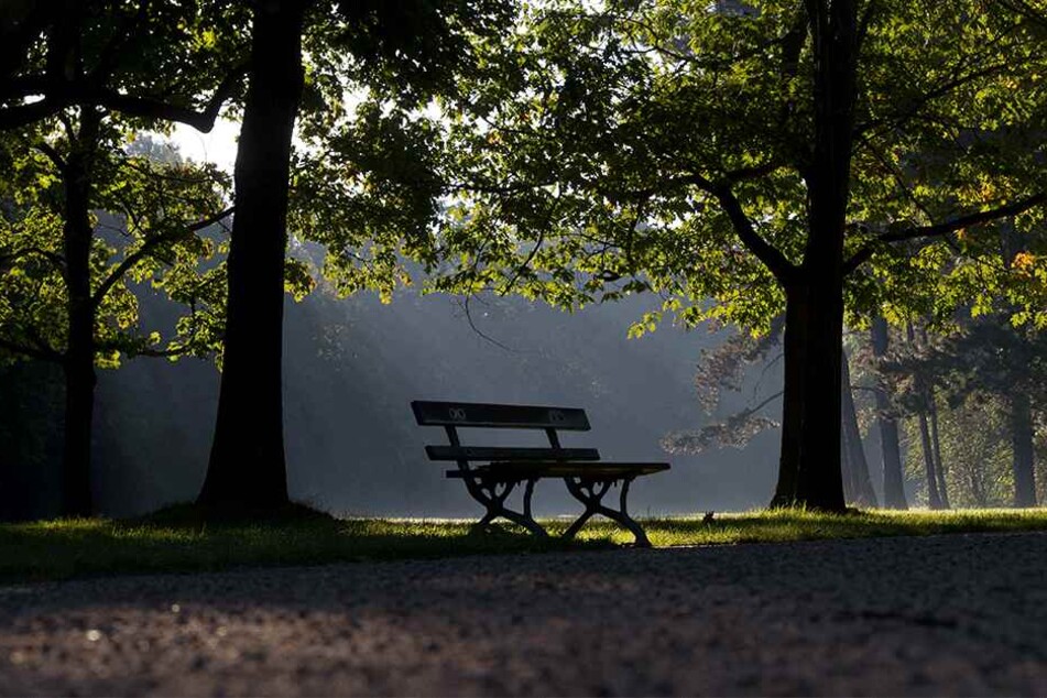 Der Große Garten lädt zu erholsamen Stunden ein.