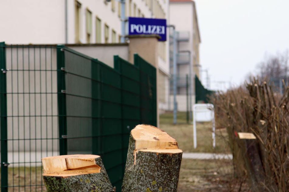 Schon Anfang 2018 wurden rund um das künftige Abhörzentrum in Leipzig Hunderte Bäume und Sträucher gefällt - aus Angst vor Anschlägen.