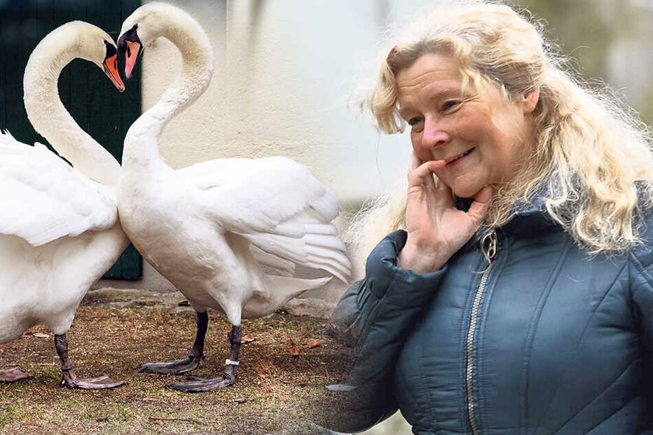 Ortschaftsrätin Beatrix Rudolph (56) organisierte den Transport von Franz alias Johnny Depp.