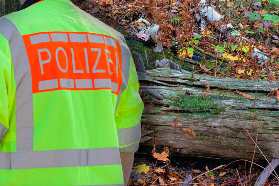 Die Polizei entdeckte den deutlich unterkühlten und geschwächten Mann in einem Waldstück, weit abseits der gekennzeichneten Wege. (Symbolfoto)