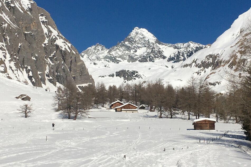 Was passierte wirklich in jener Nacht am höchsten Berg Österreichs? Ist der Freund der Toten für ihr Erfrieren verantwortlich?