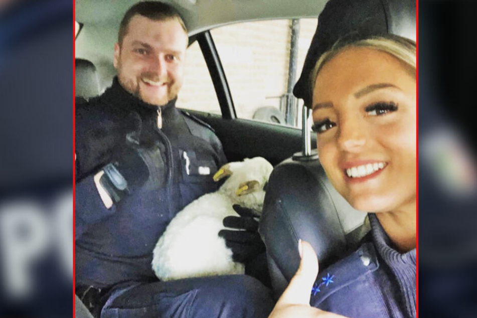 Zwei Beamte der Polizei Hamburg lächeln auf einem Selfie mit dem entflohenen Lamm.