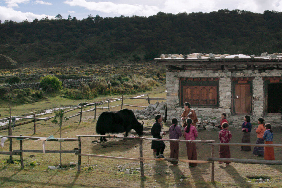 In Lunana haben Yaks eine große Bedeutung. Dem frierenden Städter Ugyen (Sherab Dorji) dient der Mist seines neuen Haustiers zum Heizen.