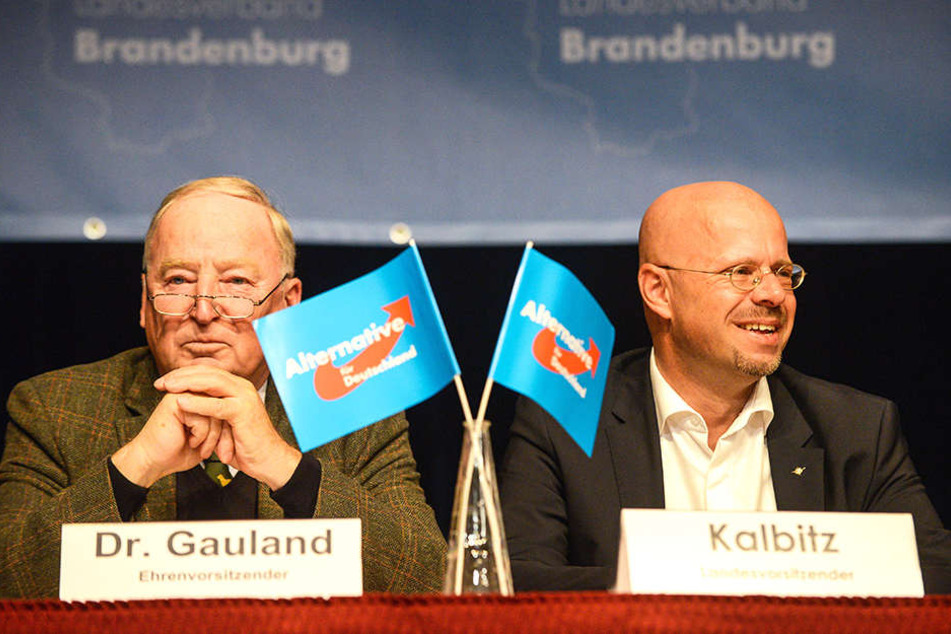 AfD-Chef Alexander Gauland (77) neben dem Landesvorsitzenden Andreas Kalbitz (45).