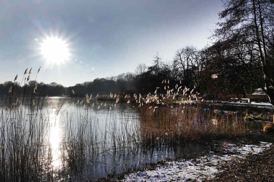 Wildromantisch zeigt sich der Schlossteich dieser frostigen Tage. Die Eisfläche zu betreten, ist aber verboten. Zu groß ist die Gefahr einzubrechen.