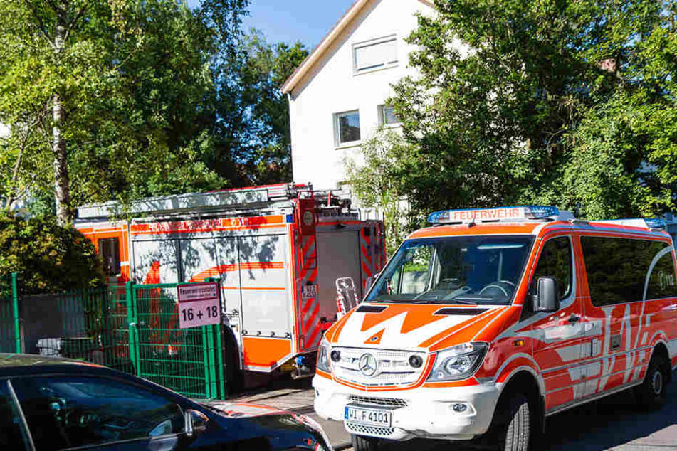 Das Feuer war bereits von allein erloschen, doch für den Bewohner kam die Feuerwehr dennoch zu spät.