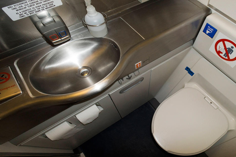 In einem Flugzeug wurde eine kleine Wasserschildkröte in der Bordtoilette gefunden. (Symbolbild)