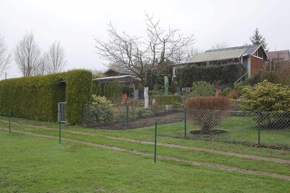 Die Kleingartensparte "Am Hofeberg" in Dürrröhrsdorf-Dittersbach.