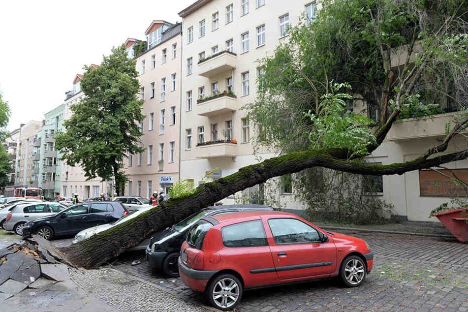 Der aufgeweichte Boden ließ in Berlin-Neukölln einen Baum auf zwei Autos stürzen.