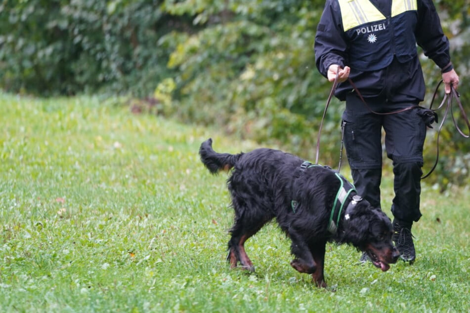 Kinder melden Mutter als vermisst: Ehemann unter Mordverdacht, Polizei sucht nach Leiche