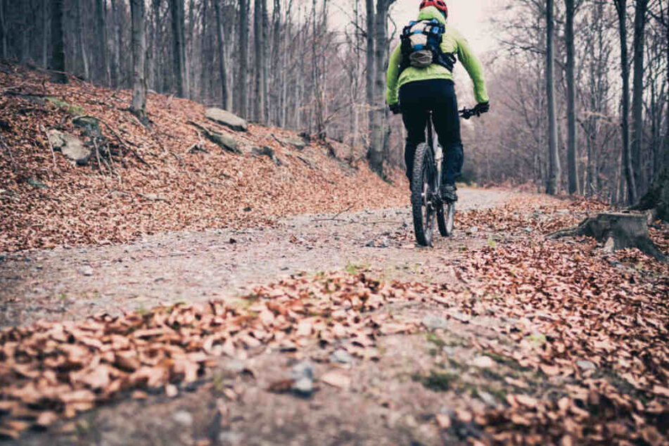 Ein Radfahrer ist vergangenen Samstag mit einem Jungen auf einem Waldweg kollidiert. (Symbolbild)