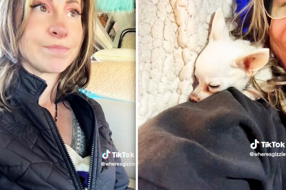 Wenn es Gizmo schlecht geht, macht sich die Chihuahua-Dame ganz klein und kuschelt sich in die Jacke (l.) oder nah an den Kopf von Frauchen Kelly.