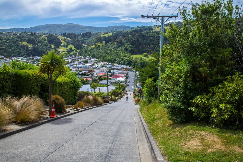 Die Baldwin Street in Neuseeland ist die steilste Straße der Welt.
