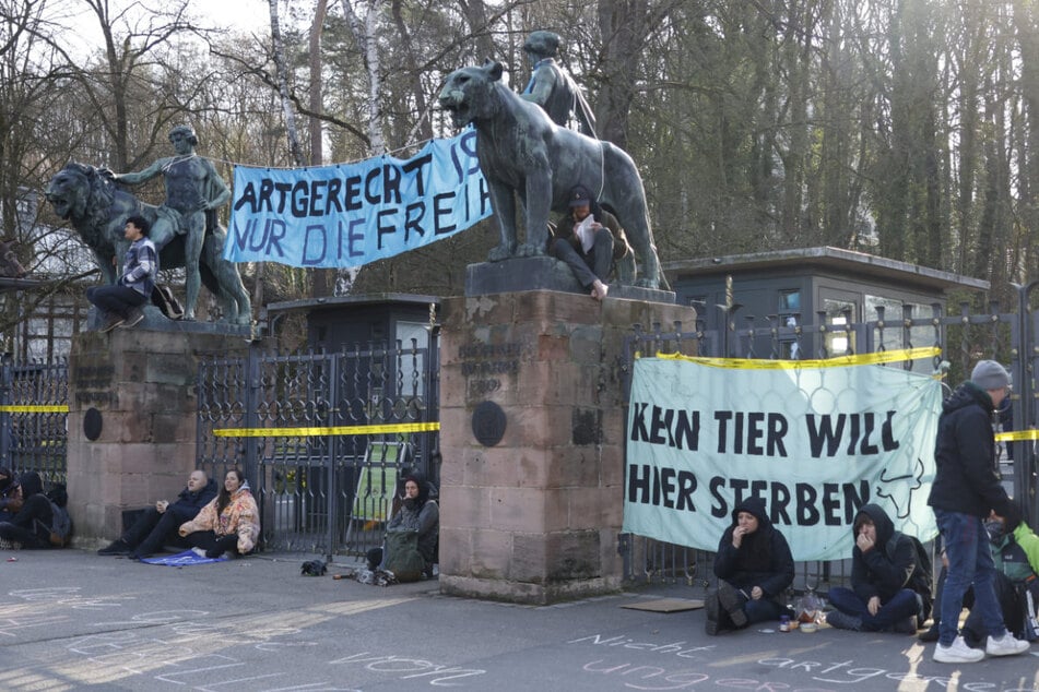 Wegen geplanter Pavian-Tötungen: Aktivisten blockieren Zugang zum Tiergarten Nürnberg
