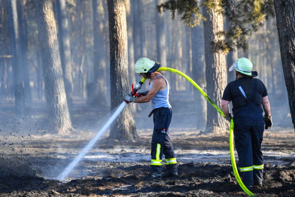 Feuerwehrleute versuchen die Glutnester des Kiefernwalds zu löschen.