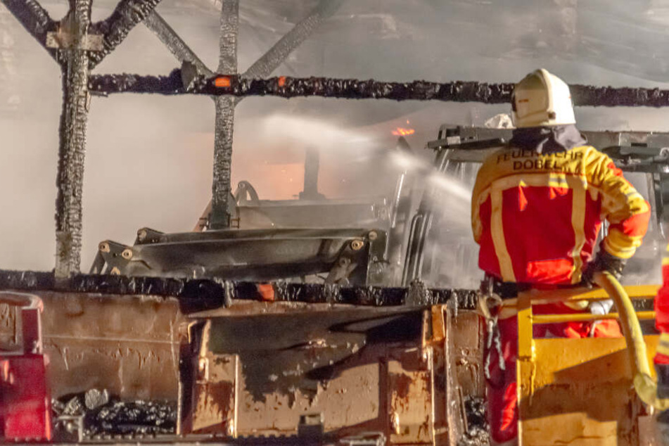 Die Feuerwehr rettete 17 Rinder vor den Flammen.