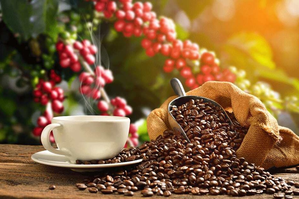 Der bulgarische LKW transportierte über 13.000 Kilogramm Röstkaffee. (Symbolbild)