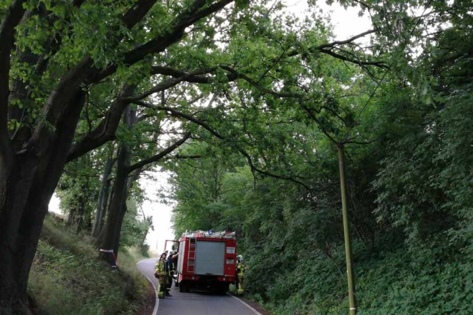 Die Feuerwehren Nerchau und Grimma waren vor Ort, um den Schaden zu beheben.