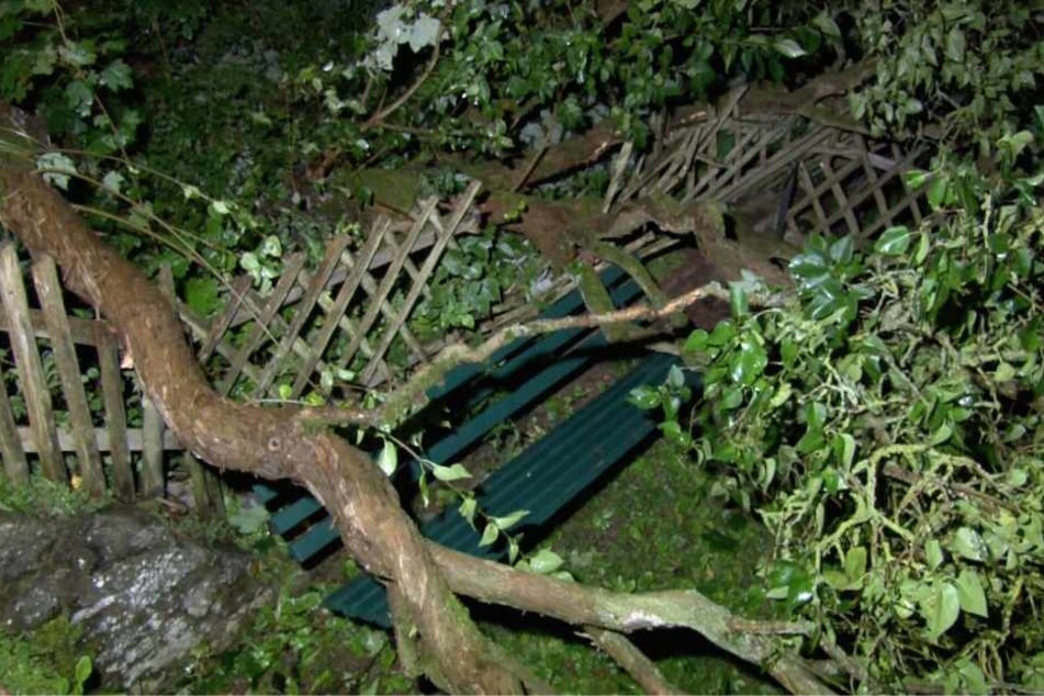 War es wirklich ein Tornado, der für die Verwüstungen im Landkreis Mansfeld-Südharz?