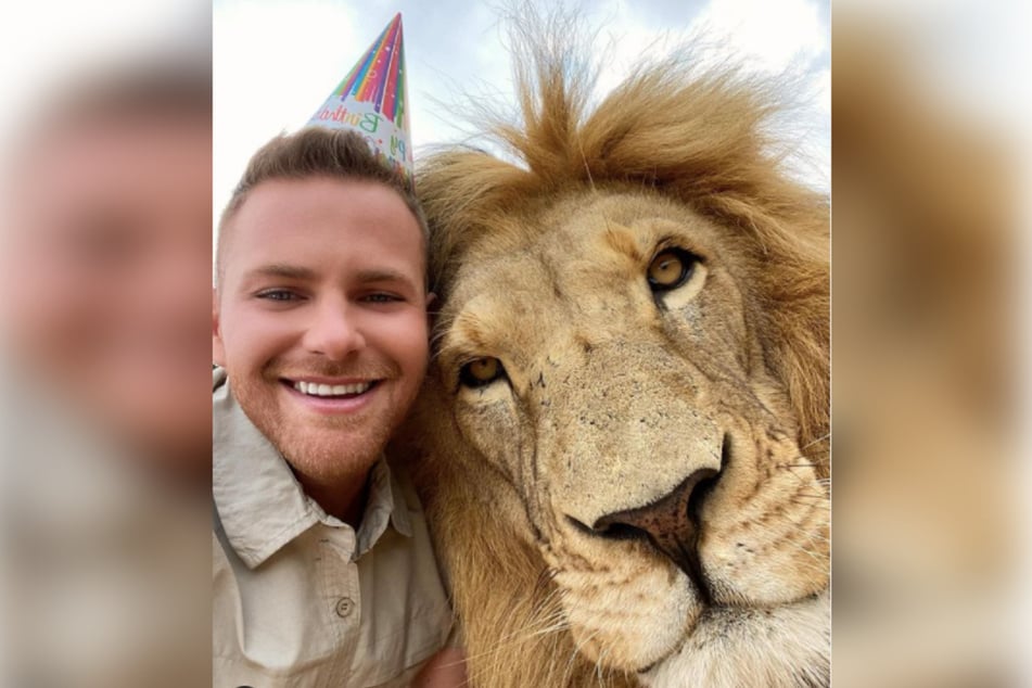 The lion tamer celebrated his 26th birthday with his best friend George the lion.