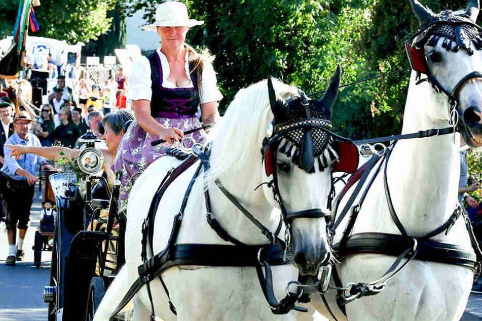 Über das Wochenende fand in Thüringen eine Pferdemarkt auf dem Buttstädter Roßplatz statt.