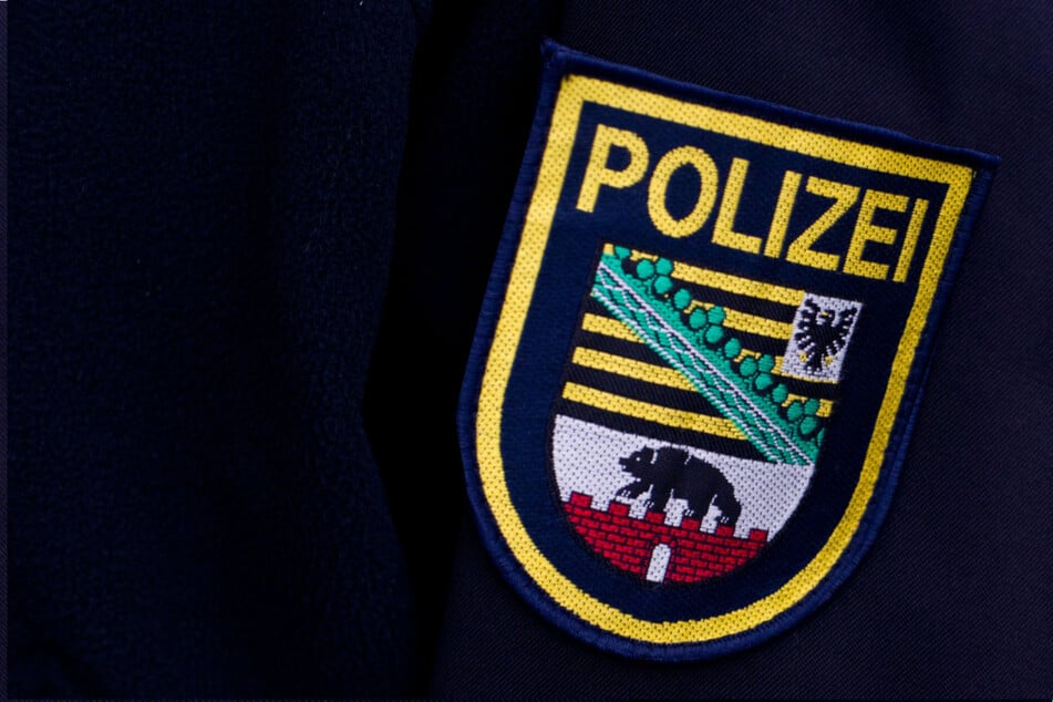 Zeugen sollen sich beim Polizeirevier Harz mit ihren Hinweisen melden. (Symbolbild)