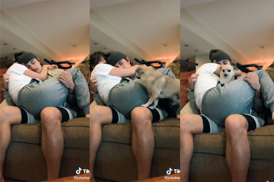 Potato findet ihren Weg zum perfekten Sitzplatz und lächelt anschließend vollkommen unschuldig in die Kamera. Der kurze und simple, aber lustige Clip bekommt auf TikTok Millionen von Likes.