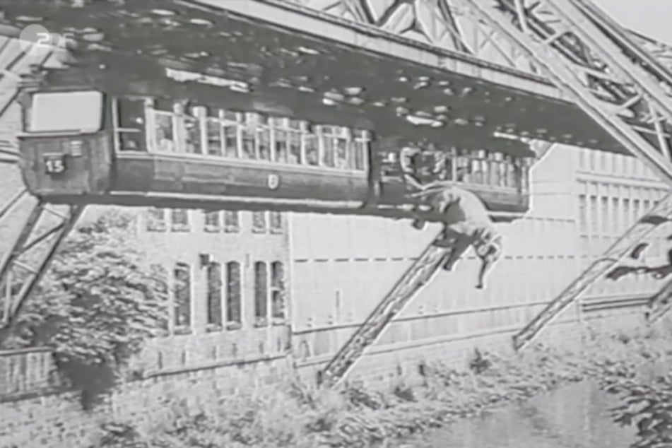 Bei dieser vielfach veröffentlichten Aufnahme des springenden Elefanten handelt es sich um eine Fotomontage.
