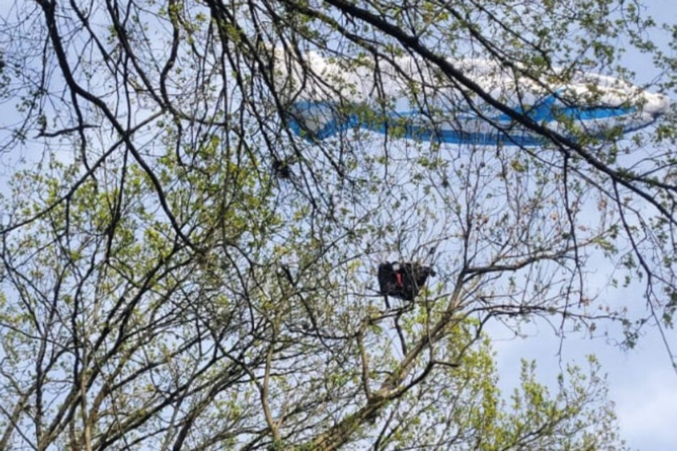 Gleitschirmflieger stürzt in Baum, aber Feuerwehr sieht "keinen Handlungsbedarf"