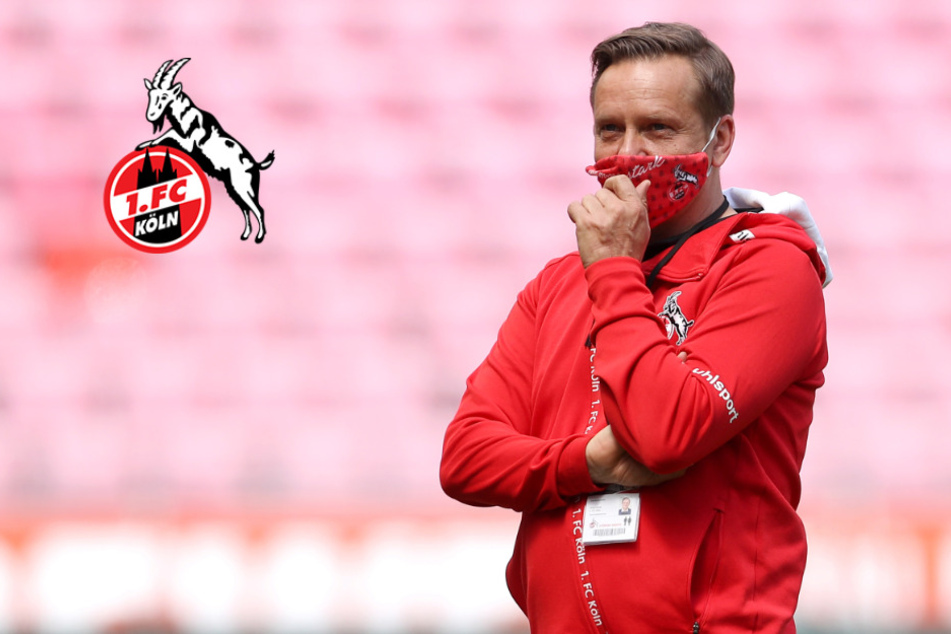 "Starrsinnig" und "beratungsresistent": FC-Sportchef Heldt ledert gegen den DFB