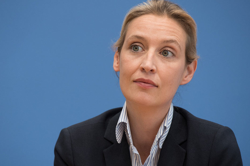 Die Spitzenkandidatin der Partei Alternative für Deutschland (AfD), Alice Seidel während einer Pressekonferenz über die Landtagswahl in Schleswig-Holstein.