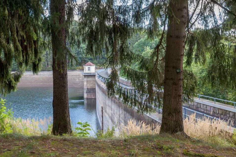 Wasserspeicher in idyllischer Natur: Über die Talsperre Einsiedel fließt frisches Rohwasser nach Chemnitz. Die Stadt verbraucht täglich 33.000 Kubikmeter.