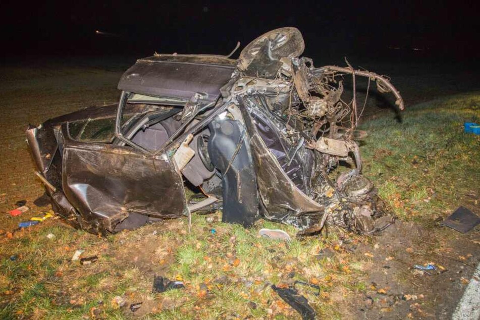 Ein Hund starb bei dem Unfall, der Audifahrer wurde schwer verletzt.
