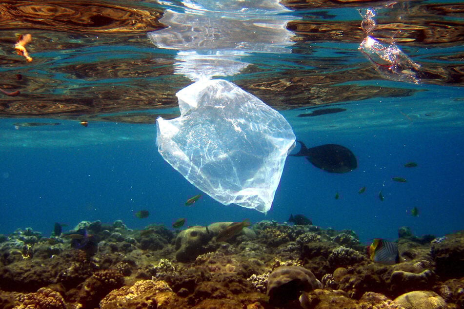 Eine Plastiktüte schwimmt über Korallen im Roten Meer in Ägypten.